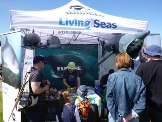 Living Seas exploration stand. INCR 29-757-CON