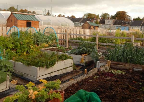 Local allotments will be open to the public.