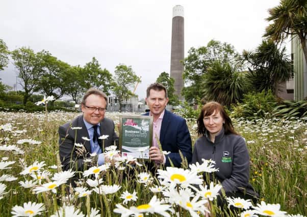 AES UK and Ireland has been awarded Platinum Level in the Business and Biodiversity Charter by Business in the Community, in partnership with Ulster Wildlife. Pictured receiving the Charter (from left) is: Ian Nuttall, Business in the Community with Ian Luney, President of AES UK and Ireland and Monika Wojcieszek, Ulster Wildlife.