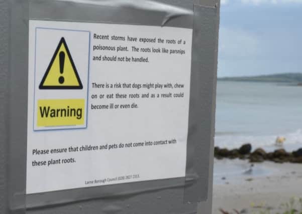 A sign at Drains Bay warning dog owners about the dangers of "poisonous parsnips". INLT 34-377-PR