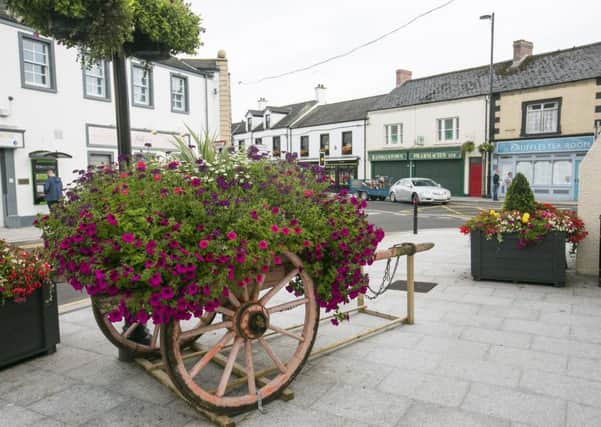 Ulster in Bloom 2017
 Small Town winner was Randalstown (Antrim and Newtownabbey Borough Council)