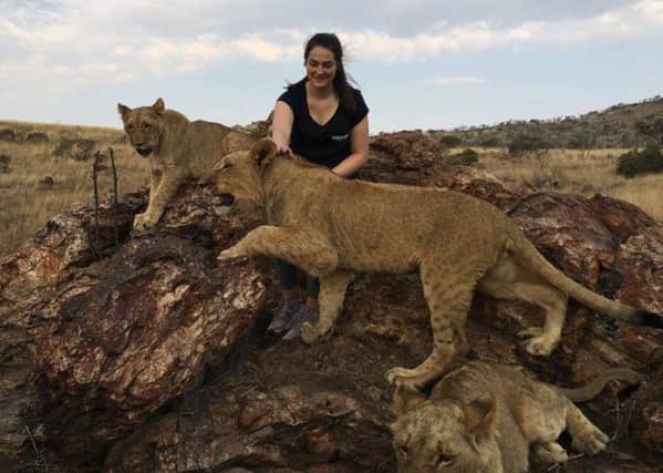 Victoria Bushby with two of the lion cubs during the lions daily walk into the African bush.