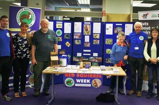 As part of Red Squirrel week the Ballygally Biodiversity Group has set up a display in Larne Library for public viewing and to encourage new members to help with the survival of "little reds".