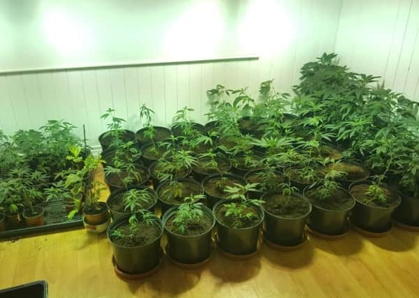 Officers from the District Support Team in Lisburn have uncovered a suspected cannabis factory following the search.
