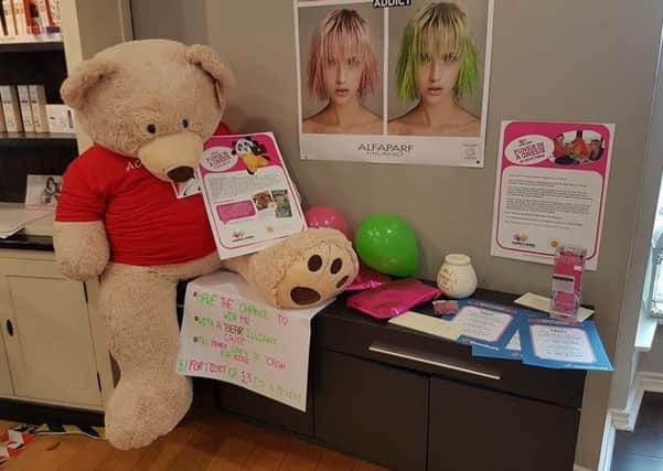 Giant teddy Ted will be up for grabs in the charity raffle at Strands on Saturday October 28.  INNT 43-720-CON