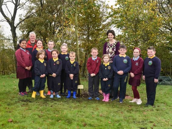 Pictured at the tree planting at Hill of The ONeill Heritage Park are:  Brian Poots, NIFSA; Councillor Kim Ashton, Chair of Mid Ulster District Council; and pupils from St Patricks Primary School, Dungannon, Dungannon Primary School and Gaelscoil Aodha Rua..