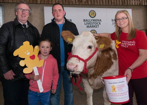 Hitting the hammer price for children's heart charity: Shaun Irvine, Ballymena Livestock Market, joins Grace Powell, Richard Powell, and Lynn Cowan, Children's Heartbeat Trust, at the launch of the fundraising auctions